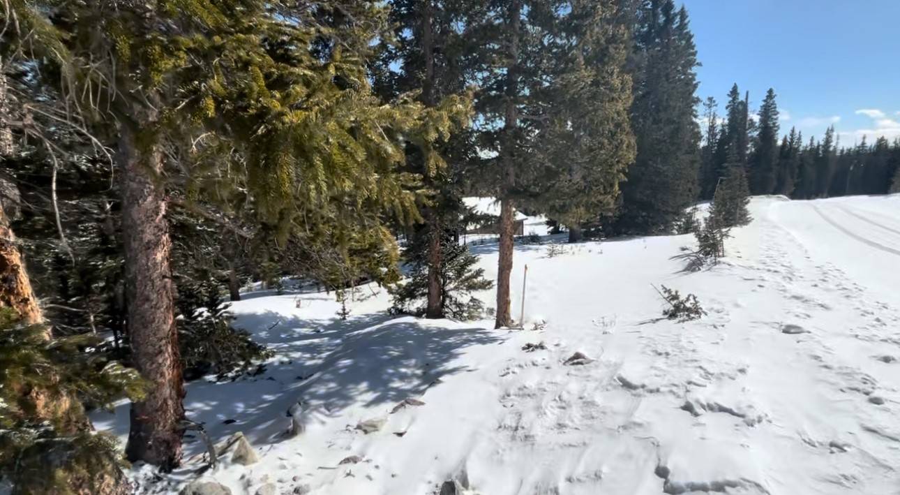 Fairplay, CO 80440,272 Grizzly DR