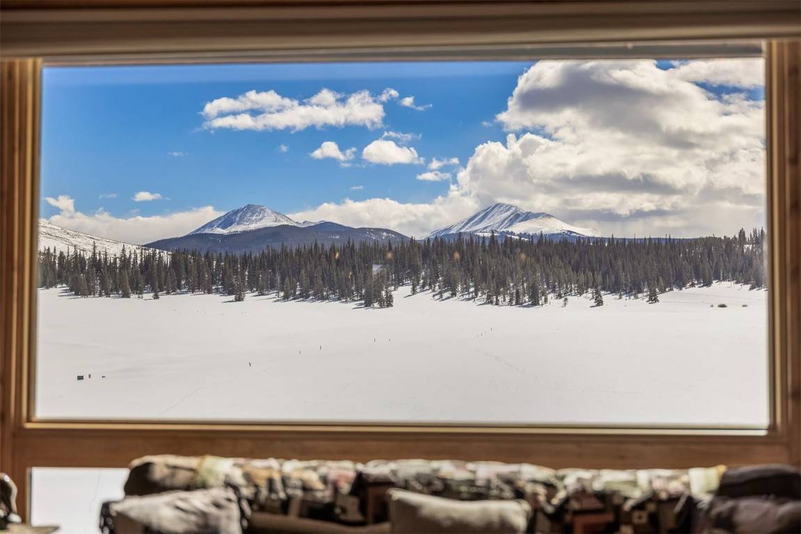 Keystone, CO 80435,82 Potentilla LN