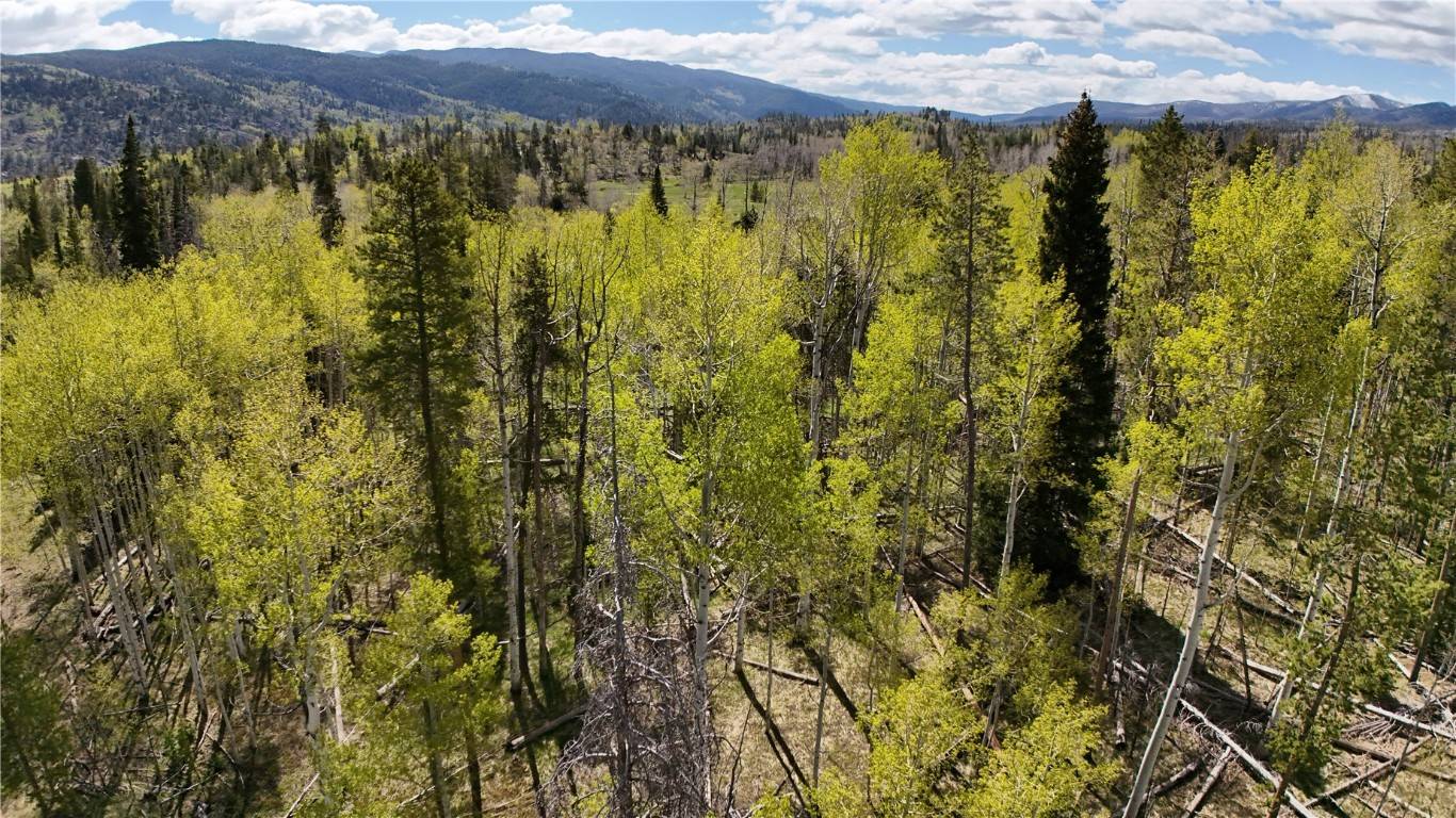 Oak  Creek, CO 80486,Lot 98 South Station I