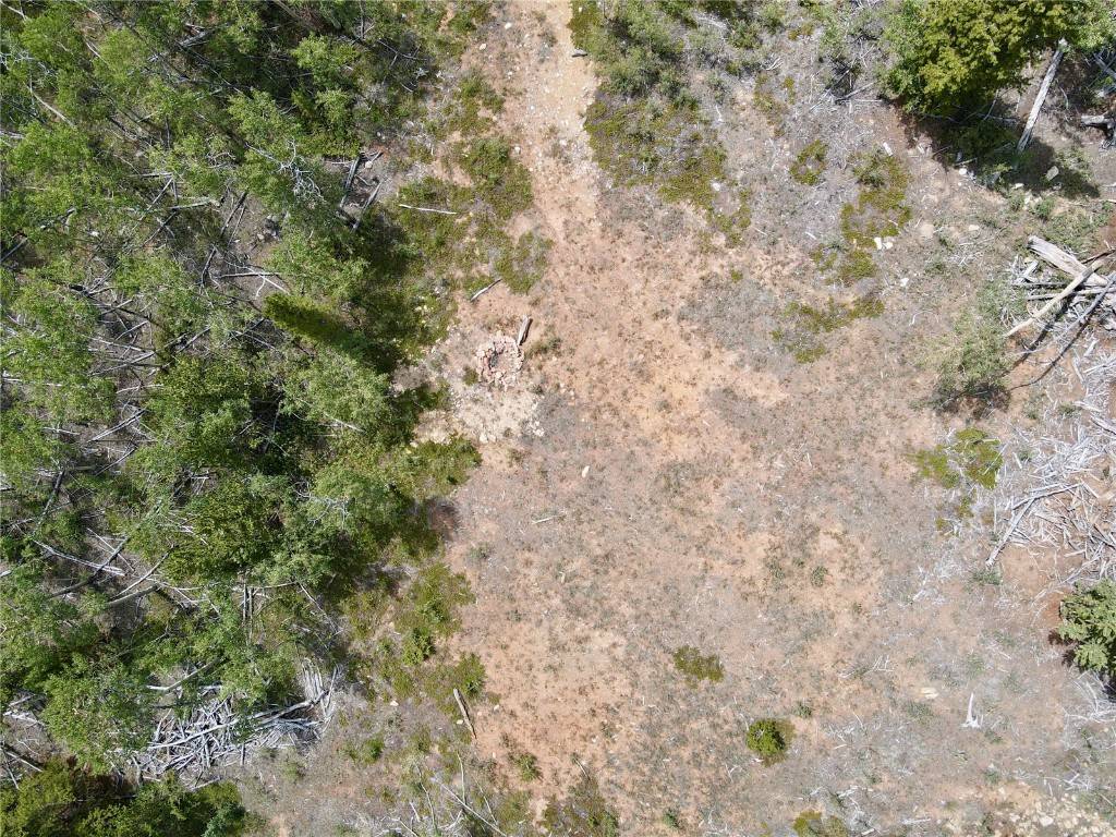 Alma, CO 80420,000 Beaver Creek RD