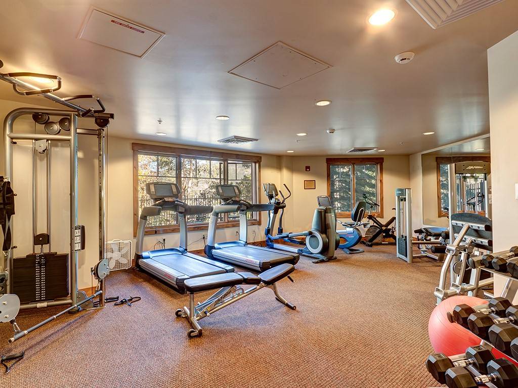 Breckenridge, CO 80424,50 Mountain Thunder DR #1212