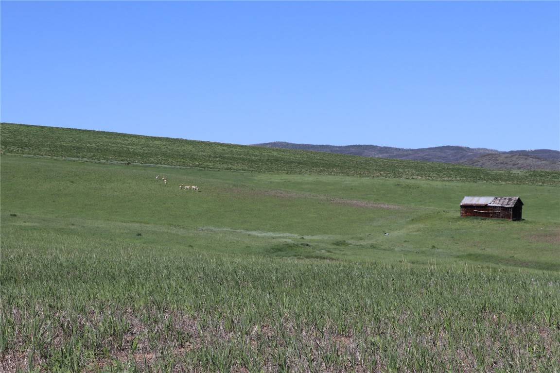 Hayden, CO 81639,33500 County Road 59A