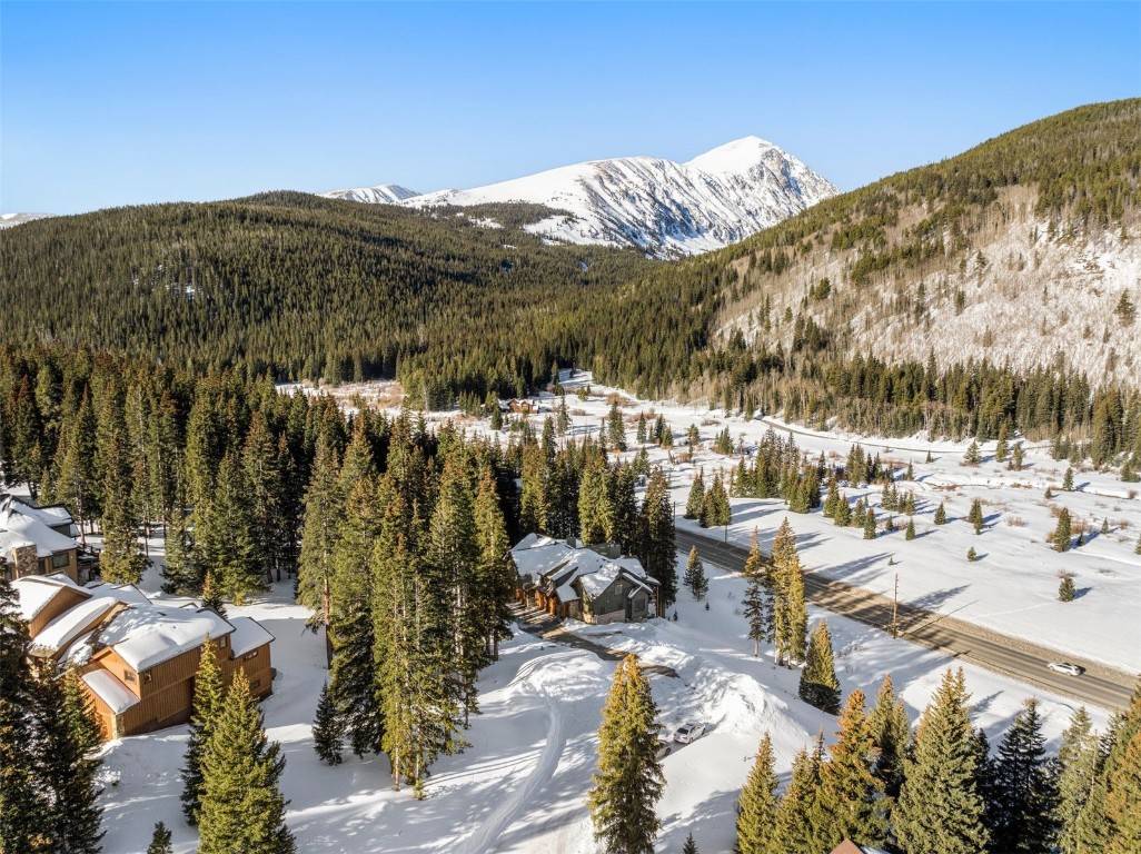 Blue  River, CO 80424,40 Cooney CT