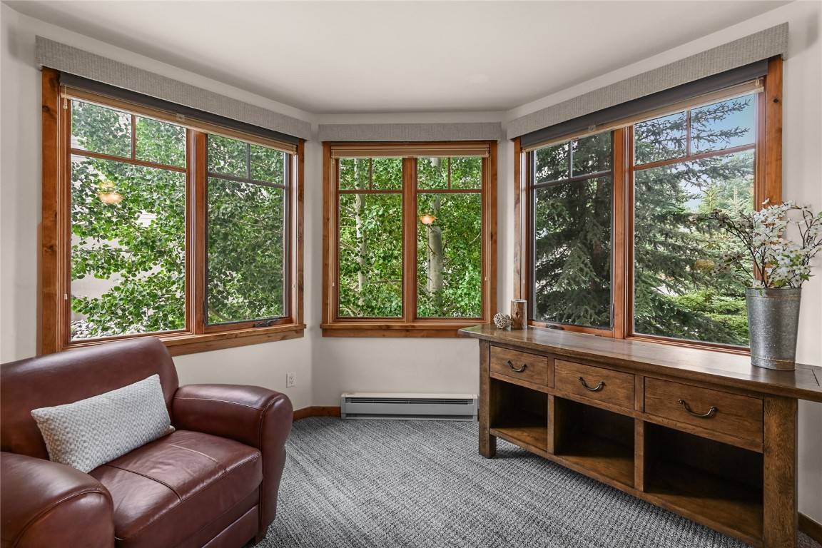 Frisco, CO 80443,1101 9000 #210