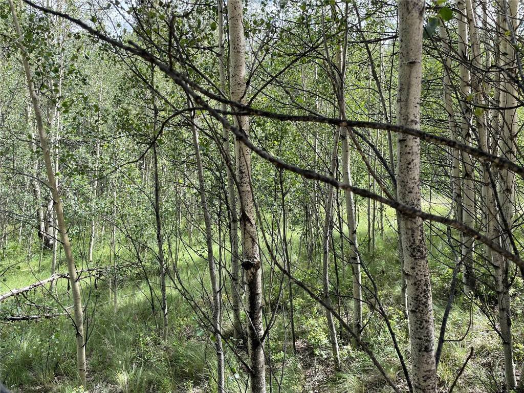 Como, CO 80432,6325 Remington RD