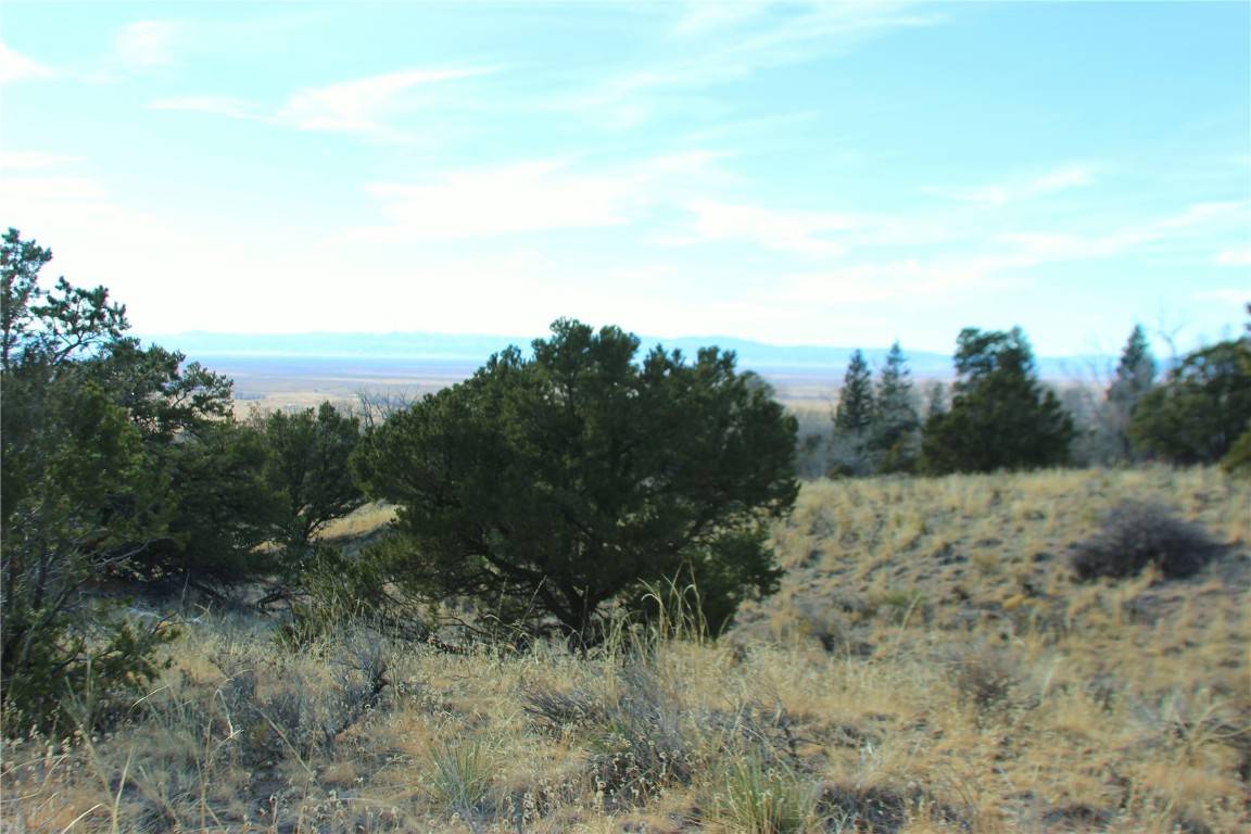 Other, CO 81131,4338-4339 Ridgecrest CT