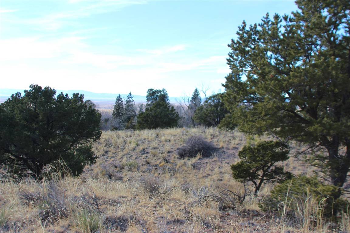 Other, CO 81131,4338-4339 Ridgecrest CT