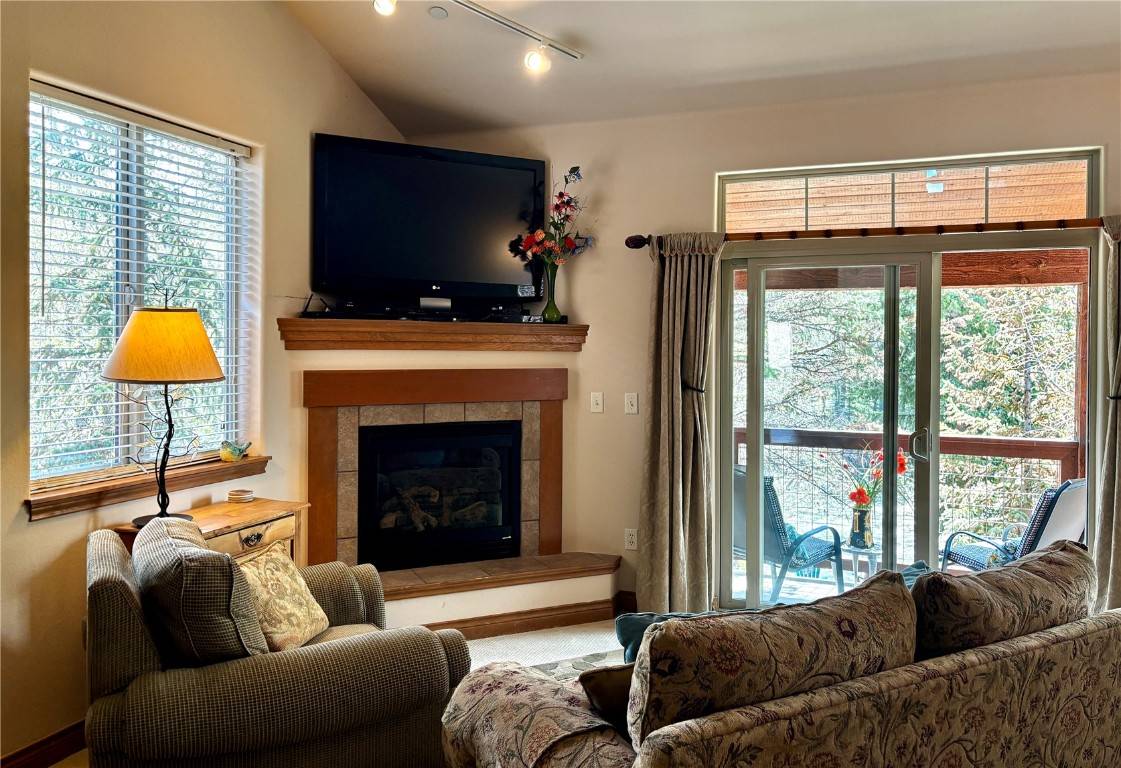 Silverthorne, CO 80498,846 Blue River Pkwy #C2