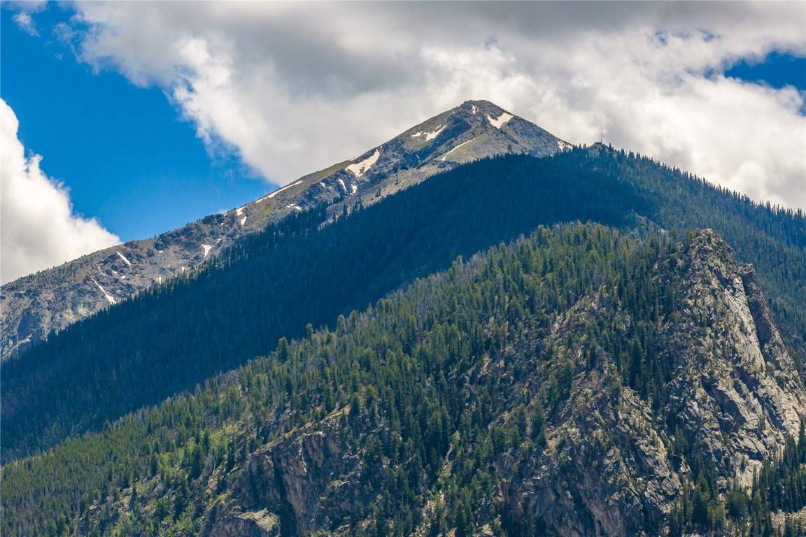 Frisco, CO 80443,185 Lusher CT #203