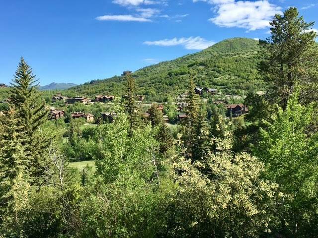 Steamboat  Springs, CO 80487,1100 STEAMBOAT BLVD