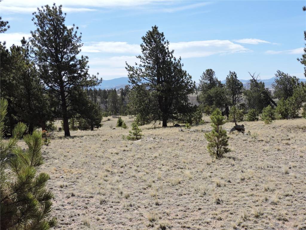 Hartsel, CO 80449,237 Rocky Mountain CT