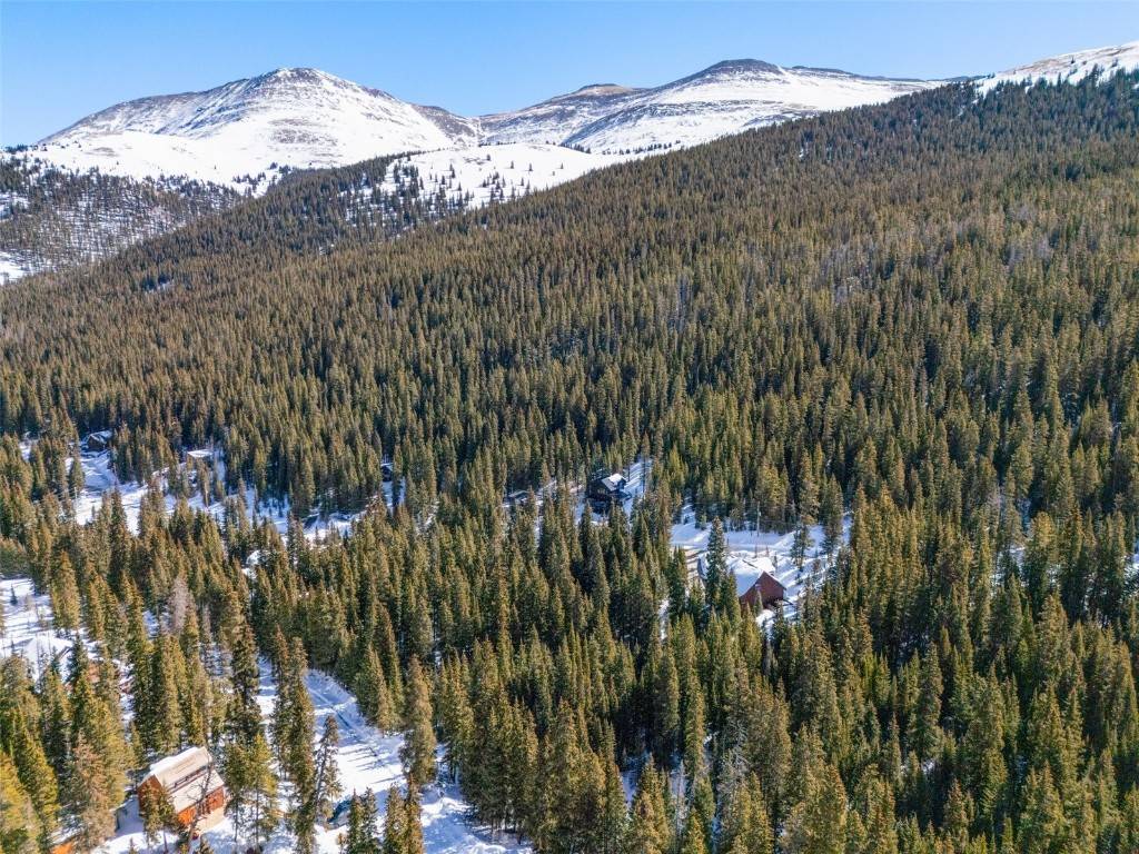 Breckenridge, CO 80424,286 CTY Road 675