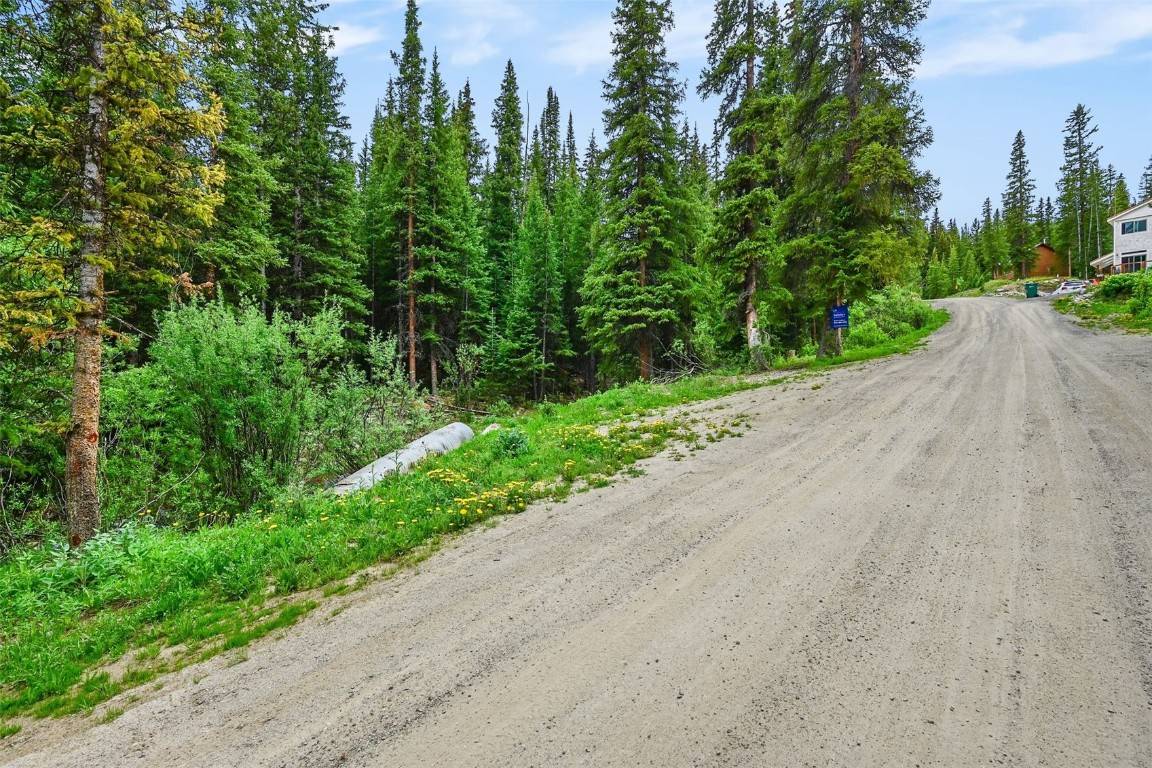 Breckenridge, CO 80424,286 CTY Road 675