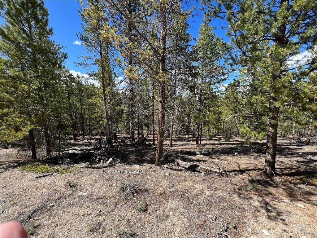 Leadville, CO 80461,123 Lodgepole DR