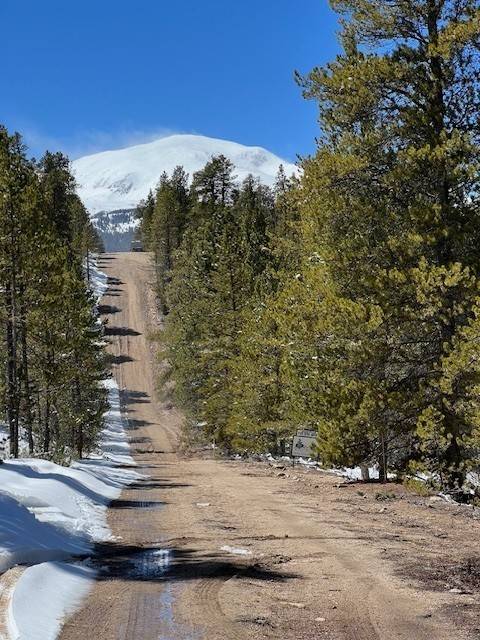 Leadville, CO 80461,123 Lodgepole DR