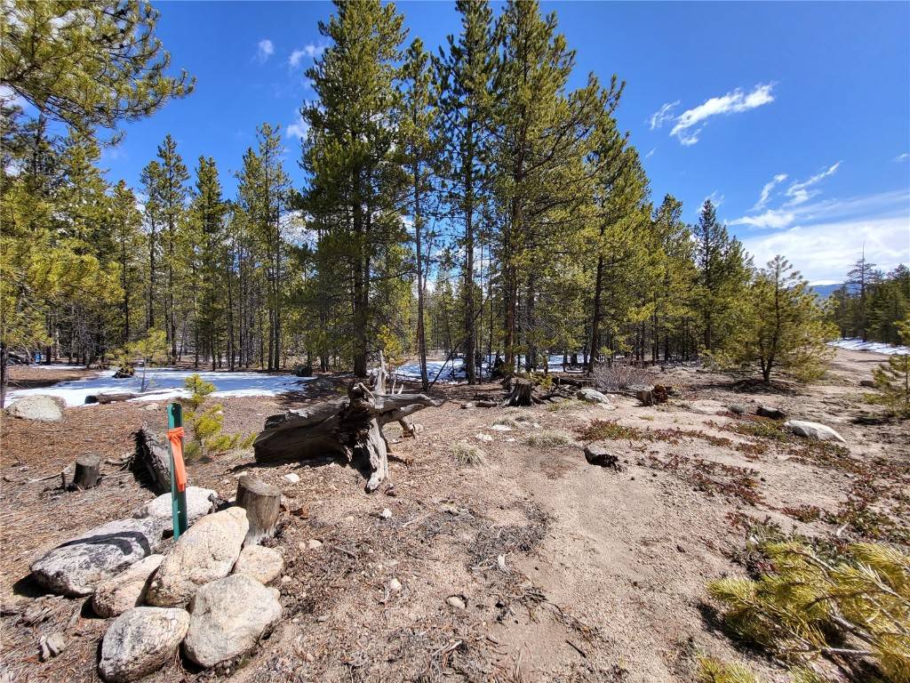 Twin  Lakes, CO 80461,379 & 361 Juniper DR