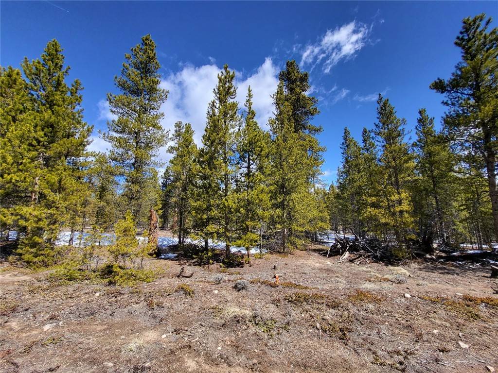 Twin  Lakes, CO 80461,379 & 361 Juniper DR