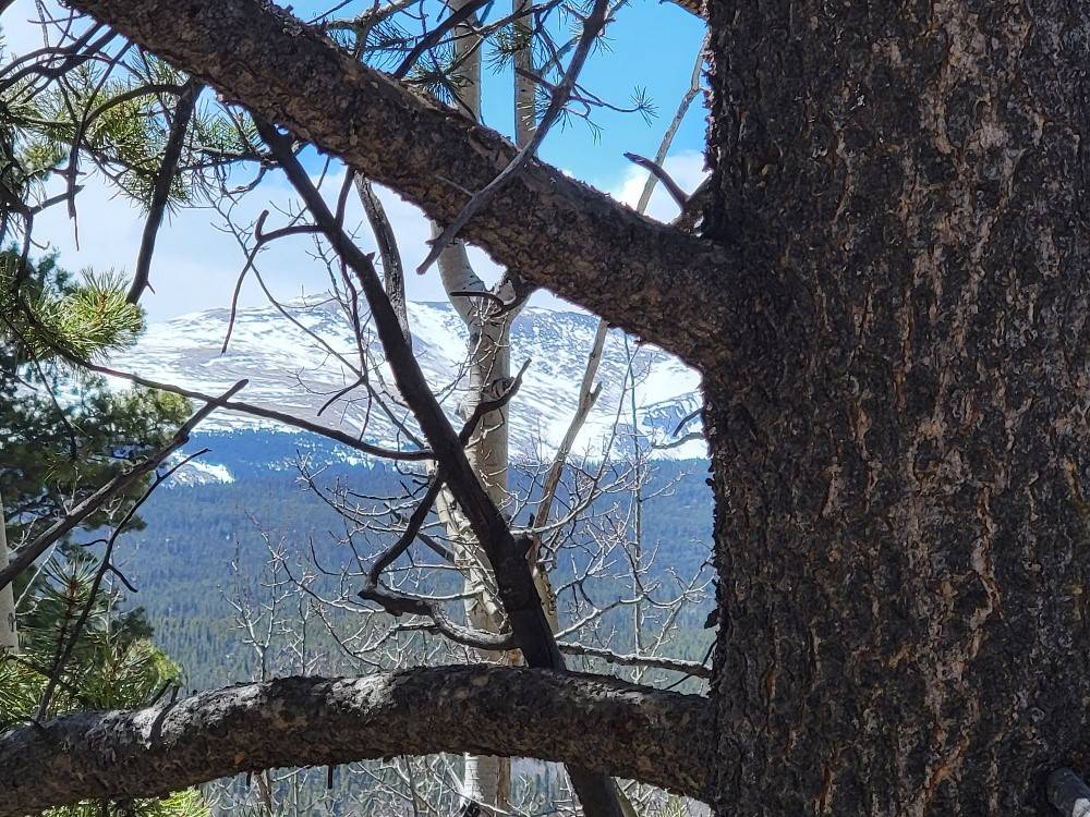 Alma, CO 80420,667 Ponderosa RD