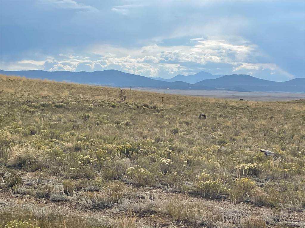 Hartsel, CO 80449,1070 Chickamauga TRL
