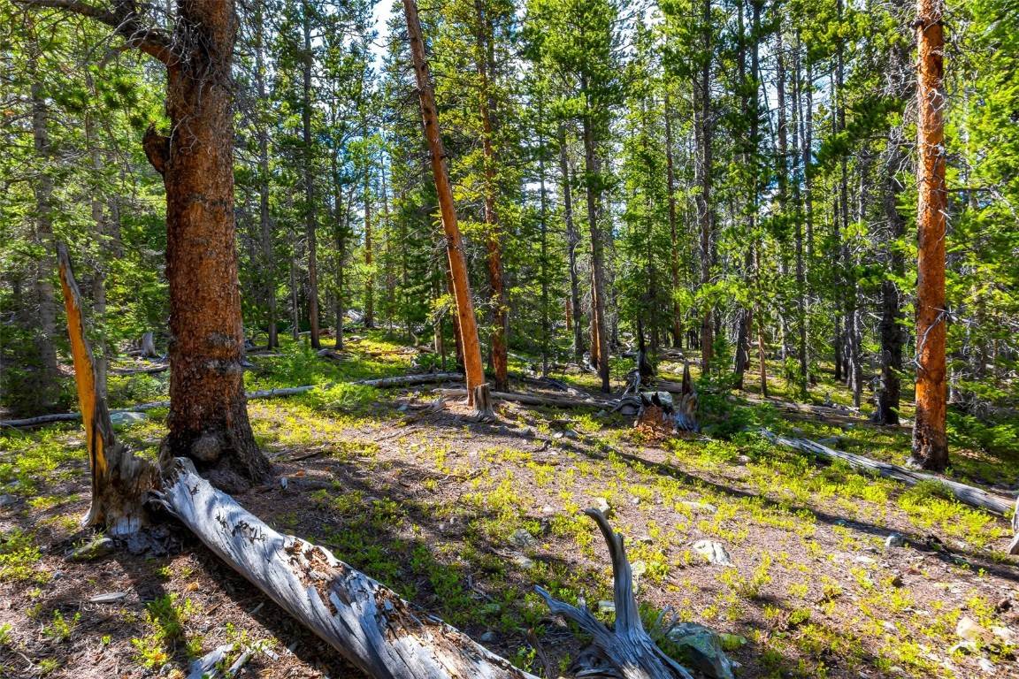 Fairplay, CO 80440,440 Gold Trail CIR
