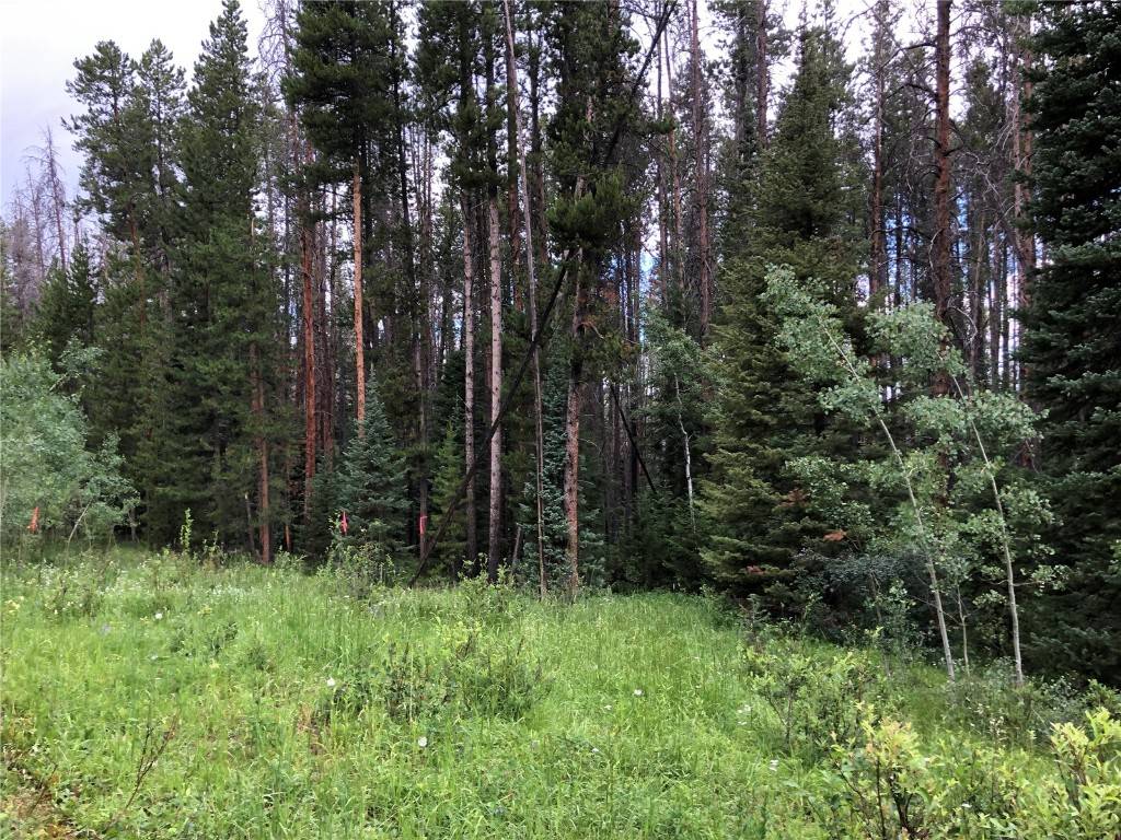 Oak  Creek, CO 80467,TBD Springboard TRL
