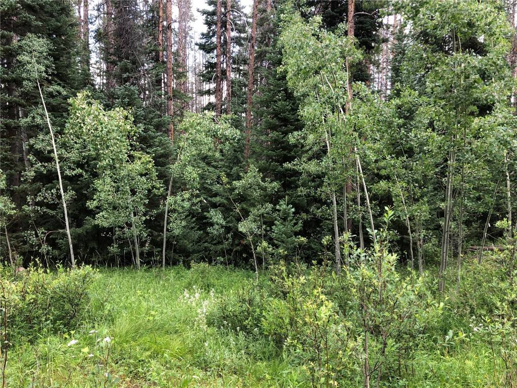 Oak  Creek, CO 80467,TBD Springboard TRL