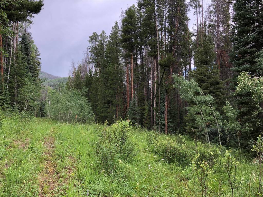 Oak  Creek, CO 80467,TBD Springboard TRL