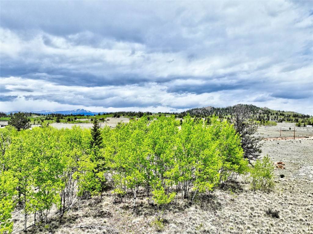 Jefferson, CO 80456,133 Highfill RD
