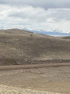 Hartsel, CO 80449,0 Black Beaver CT