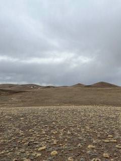 Hartsel, CO 80449,0 Black Beaver CT
