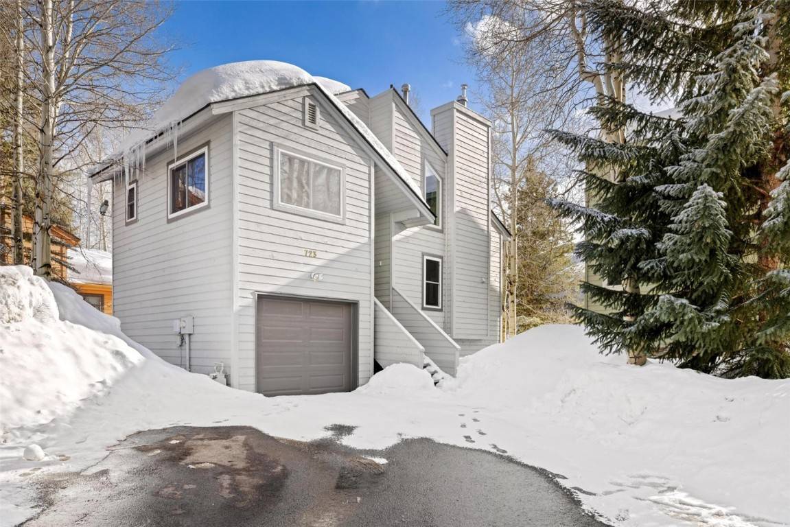 Frisco, CO 80443,723 Hunters CIR