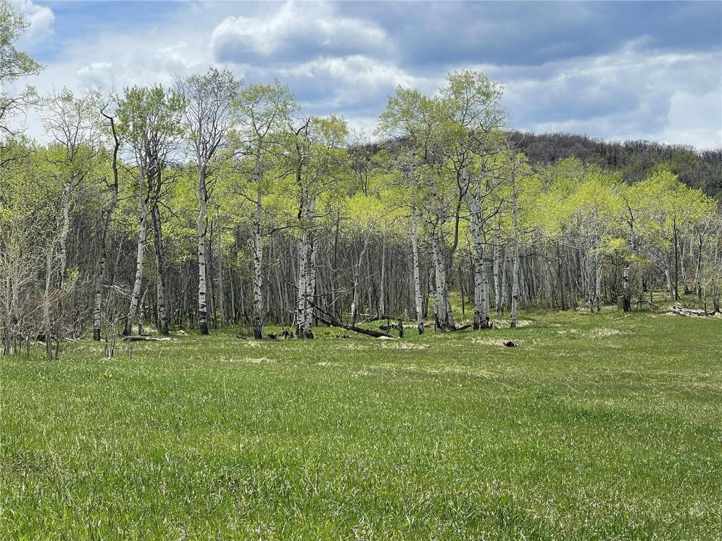 Steamboat  Springs, CO 80487,33125 MACDAY LN