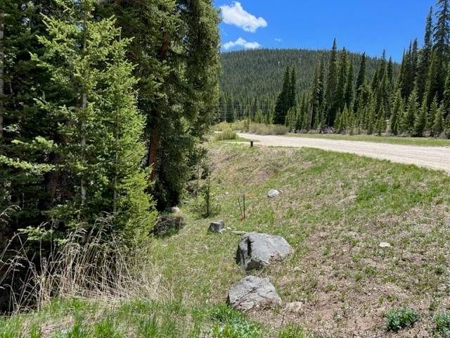 Breckenridge, CO 80424,0089 CR 670