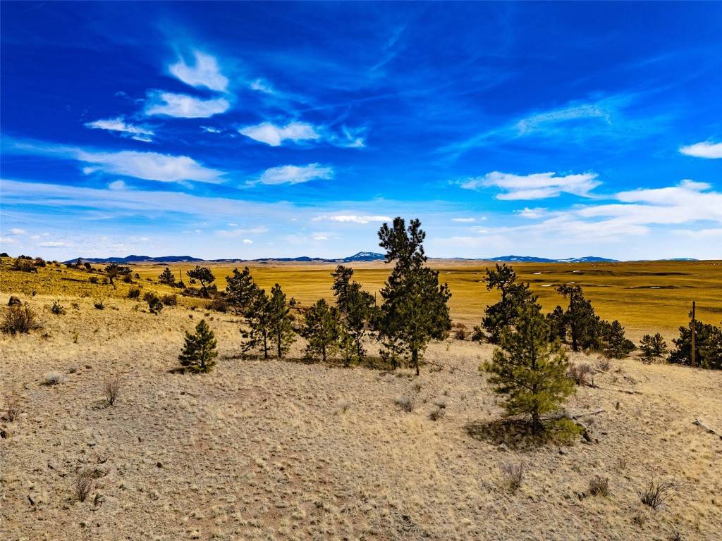 Hartsel, CO 80449,102 Pack Saddle CT