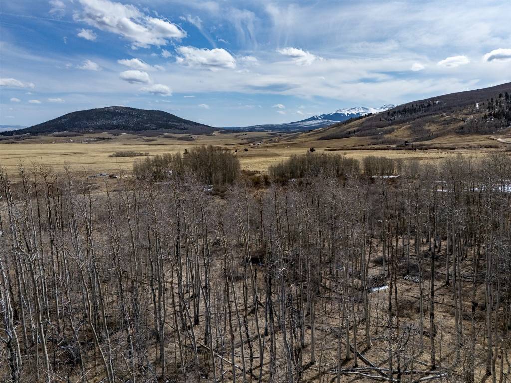 Fairplay, CO 80440,1555 Sheep Ridge RD