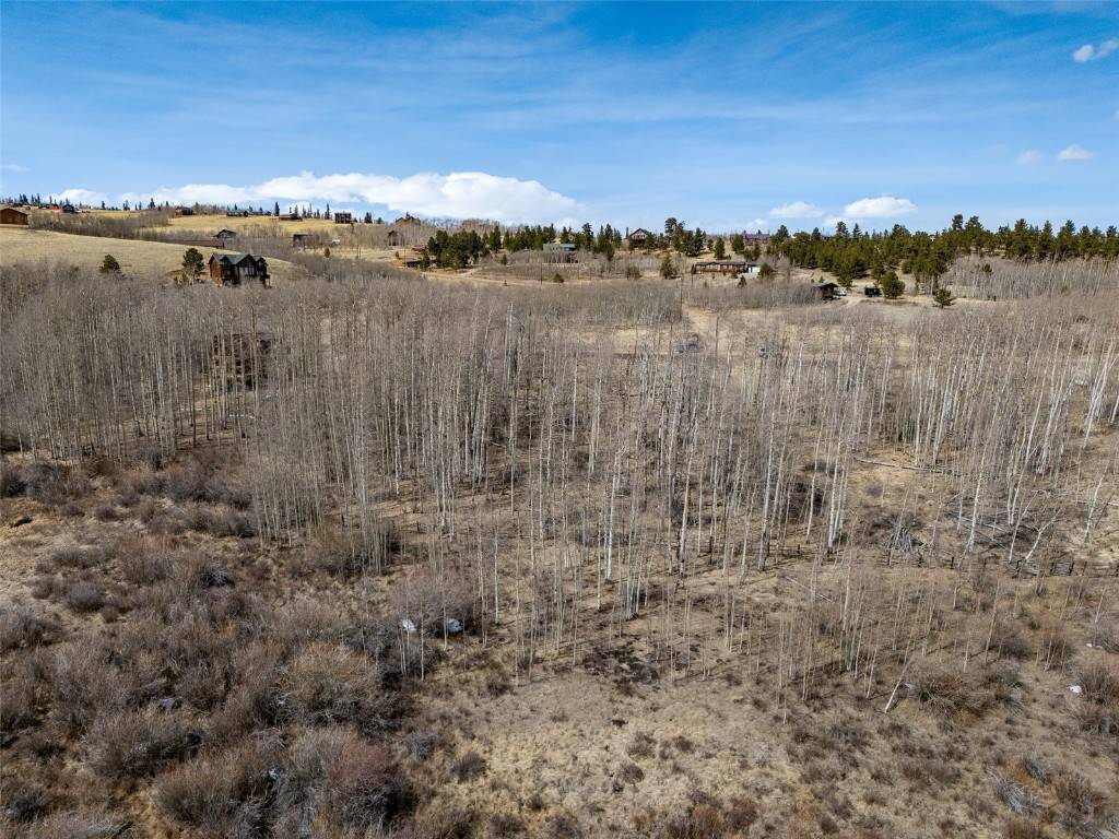 Fairplay, CO 80440,1555 Sheep Ridge RD
