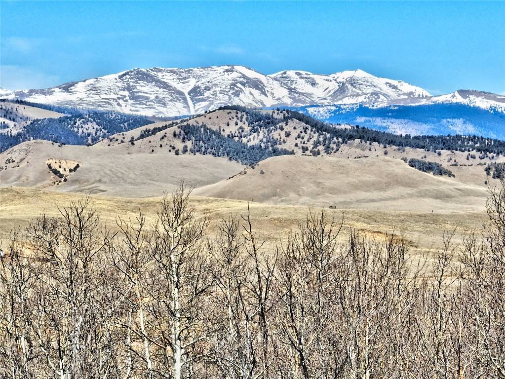 Como, CO 80456,114 Night Hawk CIR