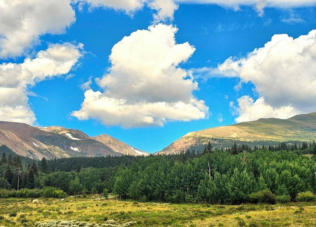 Alma, CO 80420,295 Silver Plume RD