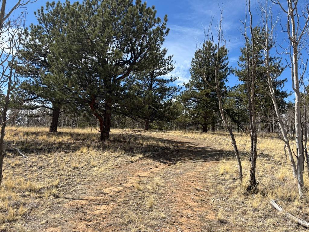 Jefferson, CO 80456,147 Bordenville RD