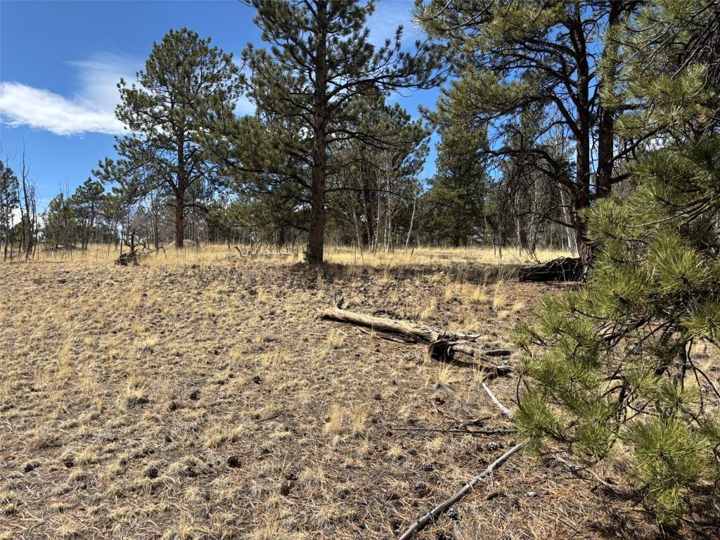 Jefferson, CO 80456,147 Bordenville RD