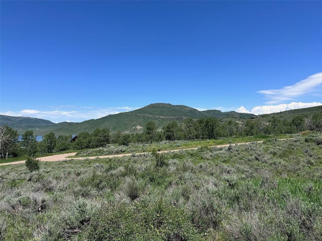 Oak  Creek, CO 80467,23910 Arapahoe RD