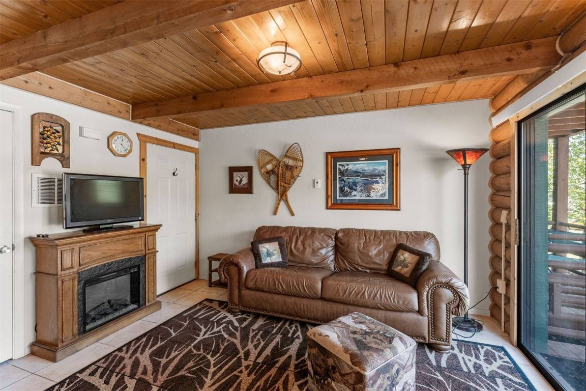 Dillon, CO 80435,100 Cove BLVD #F