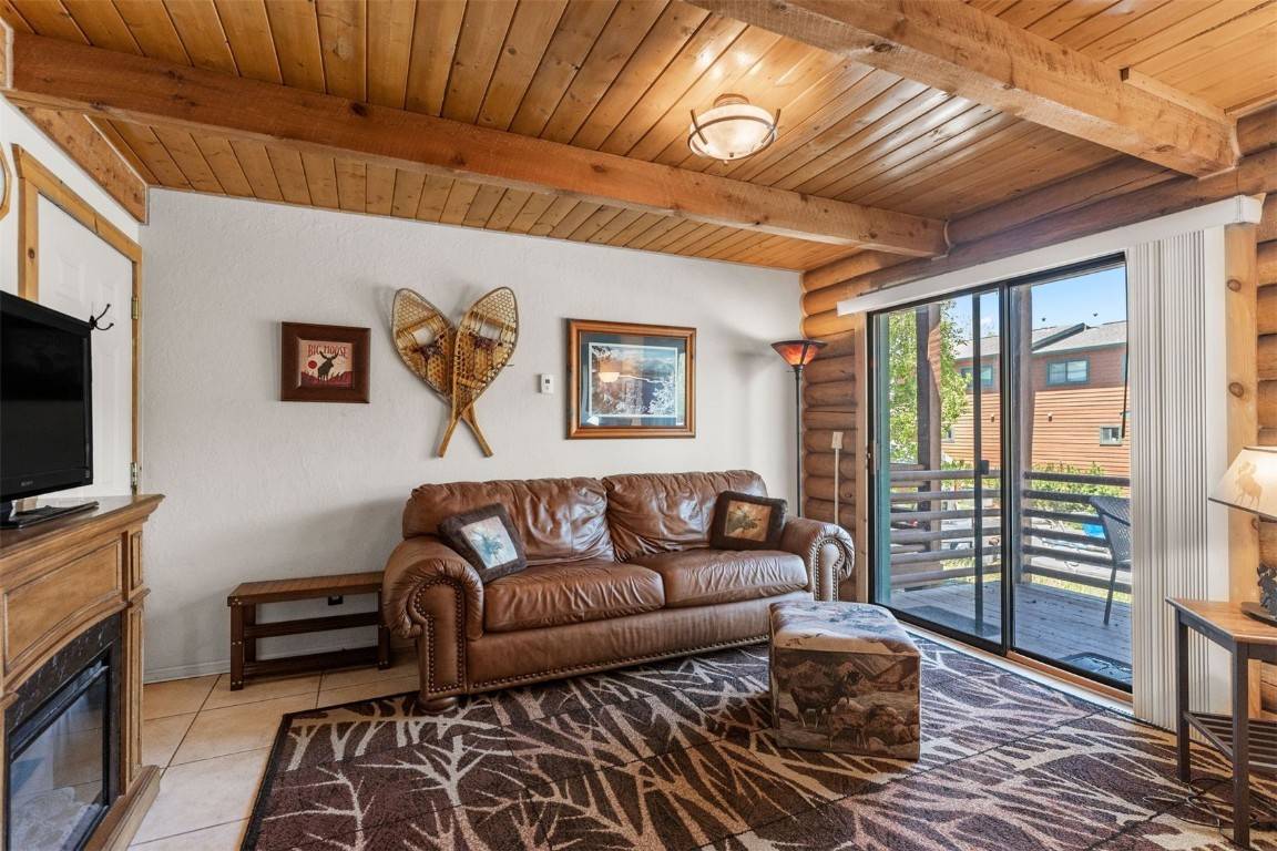 Dillon, CO 80435,100 Cove BLVD #F