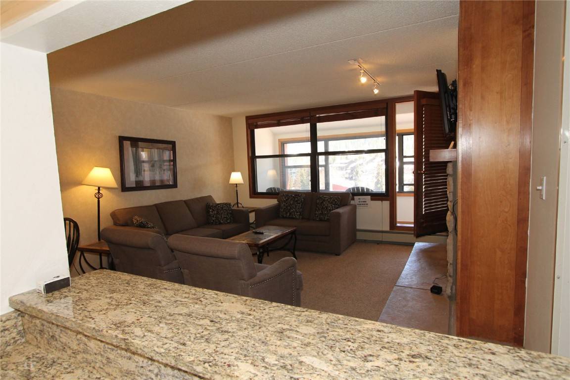 Copper  Mountain, CO 80443,189 Ten Mile CIR #449