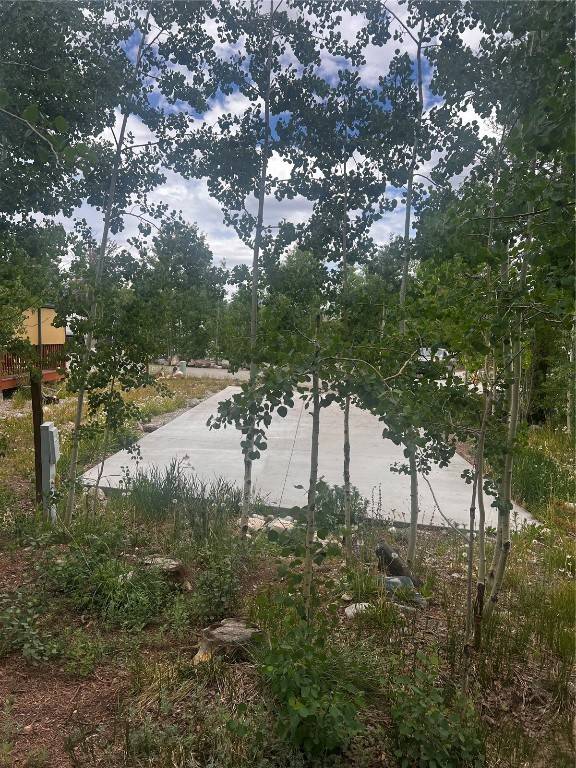 Fairplay, CO 80440,228 Sunshine Loop
