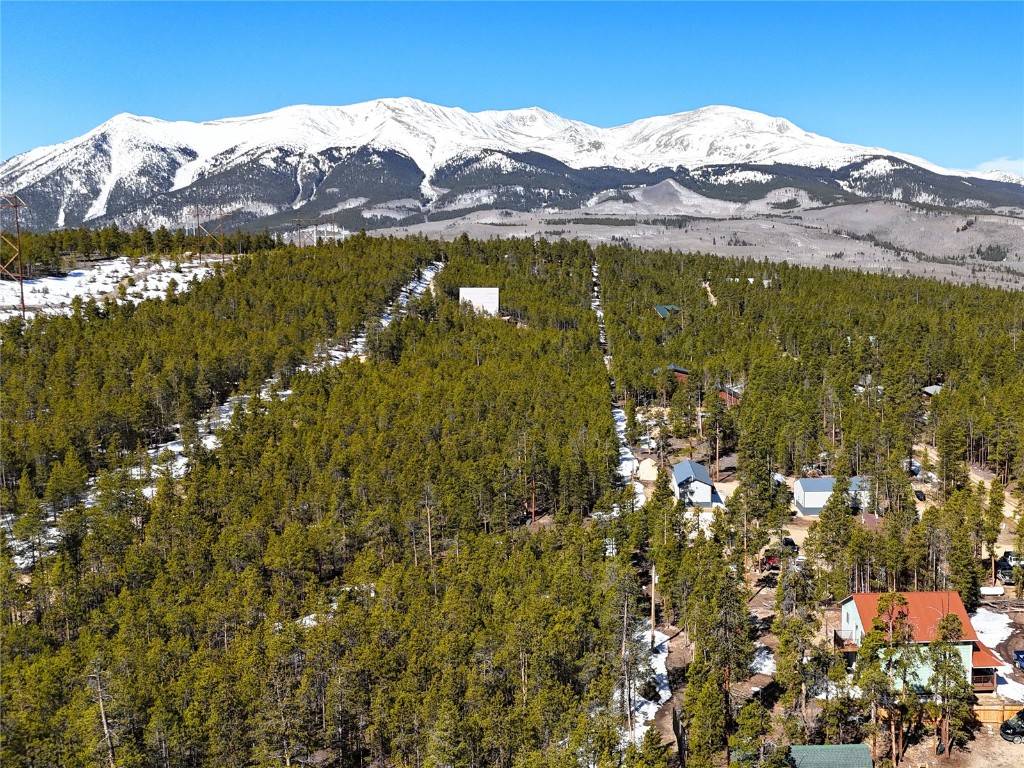 Leadville, CO 80461,1033 Sequoia DR