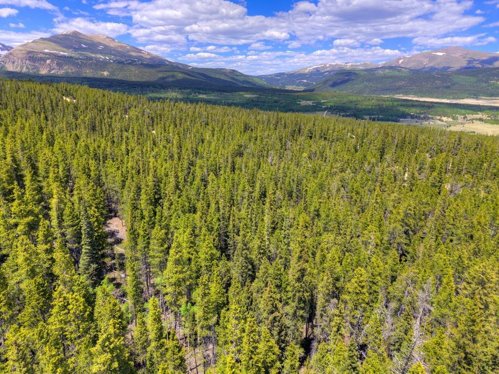 Alma, CO 80420,2221 Kootchie Kootchie RD