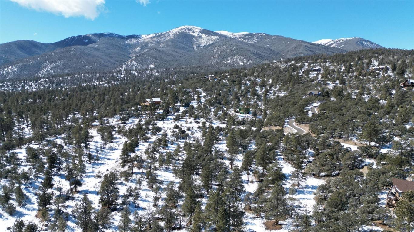 Buena  Vista, CO 81211,30110 Princeton