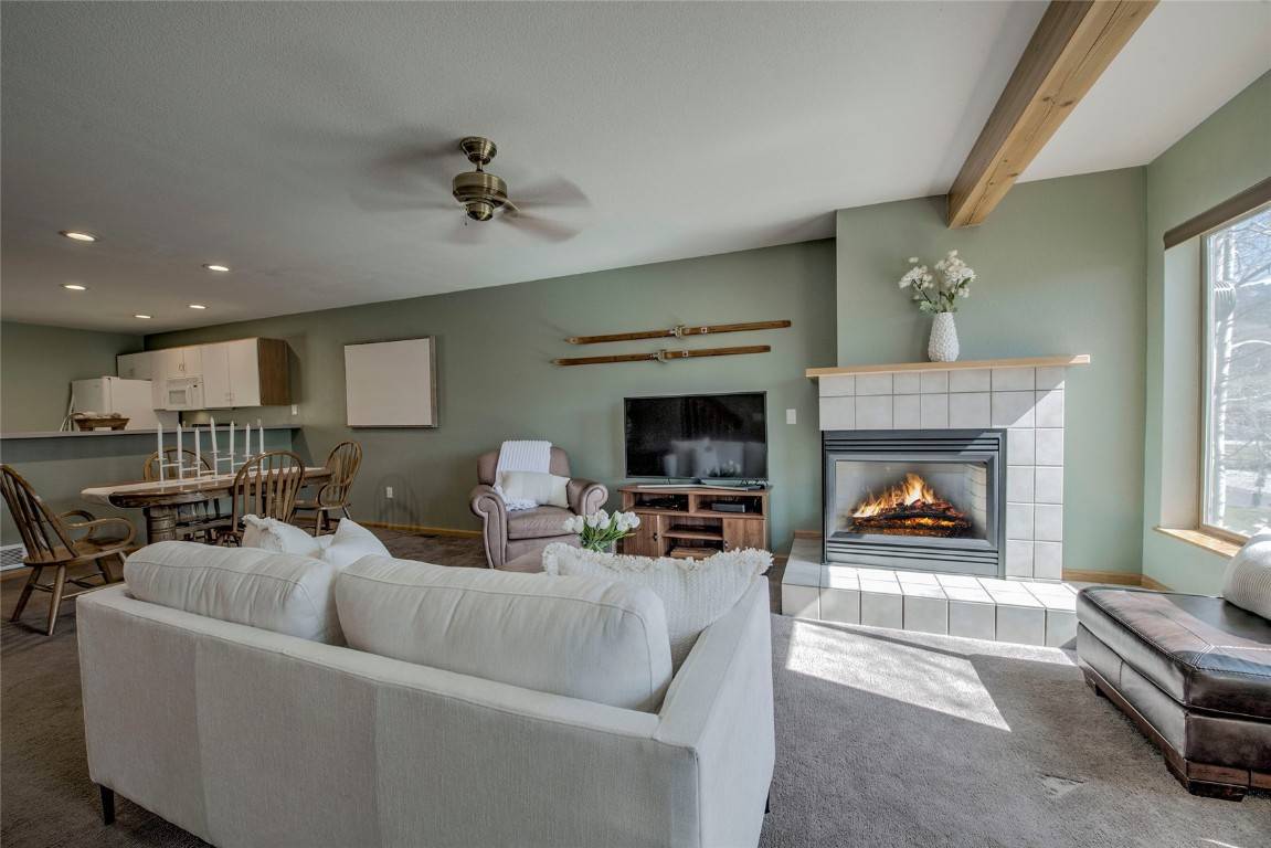 Silverthorne, CO 80498,197 Kestrel LN #197