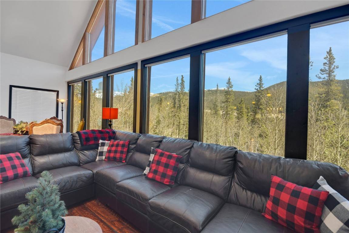 Alma, CO 80440,496 Quartzville RD